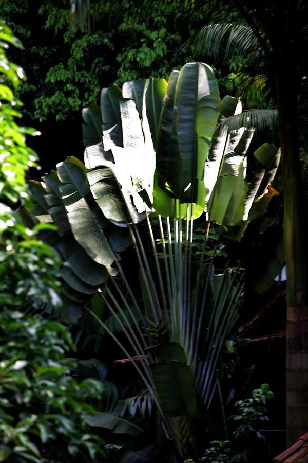 Villa Casa De Penedo Esterno foto